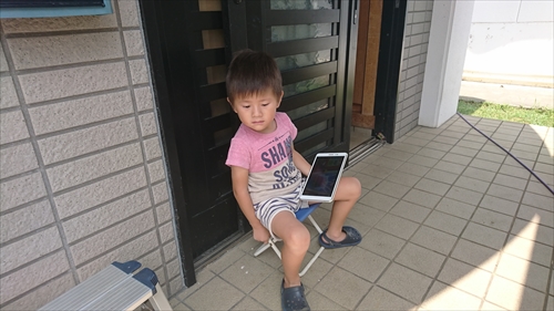 31日・巨大なハモ！